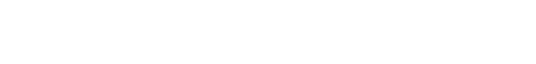 D.C. United Logo